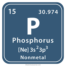 <p>Phosphorus</p>