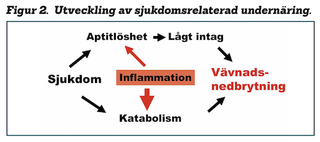 <p>Det är ett katabolt tillstånd med snabb förlust av muskelmassa och fett, orsakas av ett kronisk inflammatorisk tillstånd såsom cancer, hjärtsvikt, AIDS eller KOL. Det försämras av dåligt näringsintag sekundärt till aptitförlust. </p>