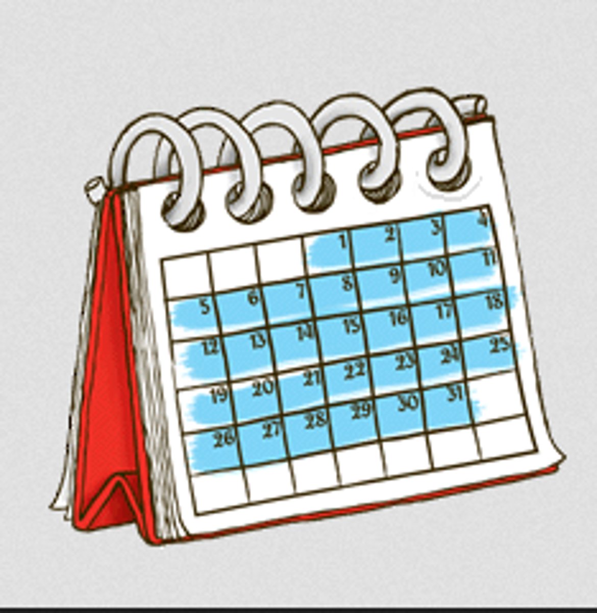 <p>every day</p>