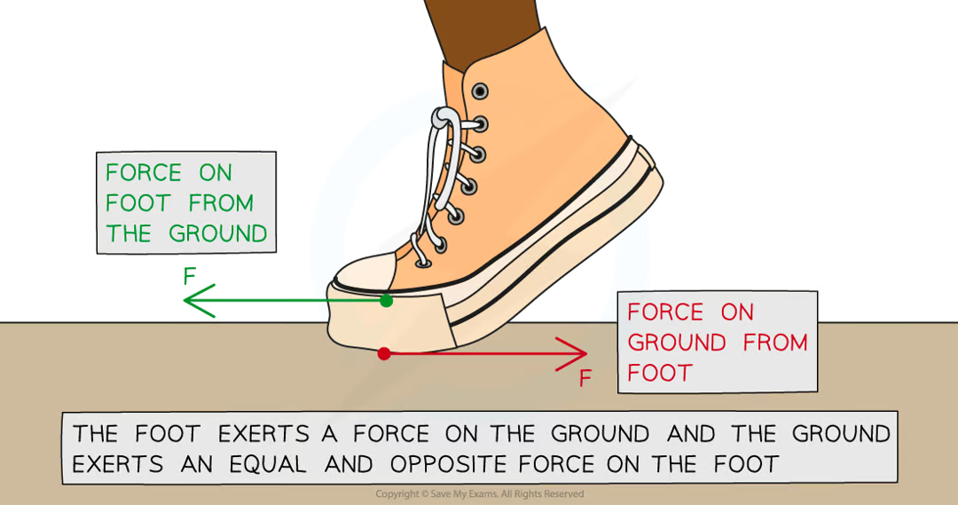 <p>describes the effects of the forces involved when <strong>2</strong> different objects interact with each other</p><p><strong>Whenever two bodies interact, the forces they exert on each other are equal and opposite </strong></p><p>force pairs = the pair of forces exerted by the interacting objects</p><p>e.g. when walking:</p><ul><li><p>two objects interacting = foot & ground</p></li><li><p>foot exerts push force on ground</p></li><li><p>ground exerts push force on foot</p></li><li><p>the forces are equal in magnitude & opposite in direction</p></li></ul><p></p>