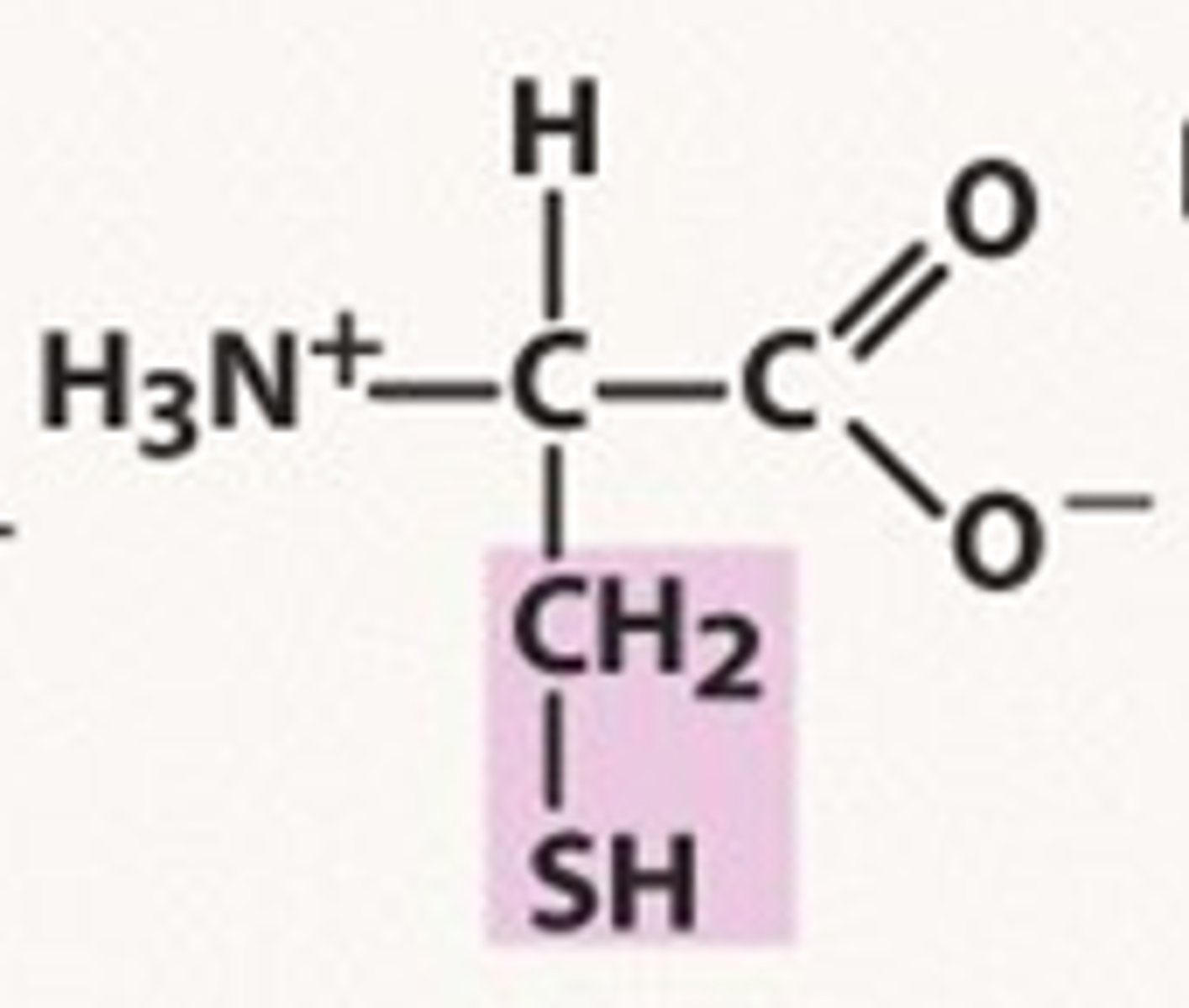 <p>Cys, C, polar, pKr= 8.37</p>