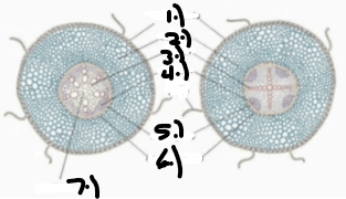 <p>What is 5</p>