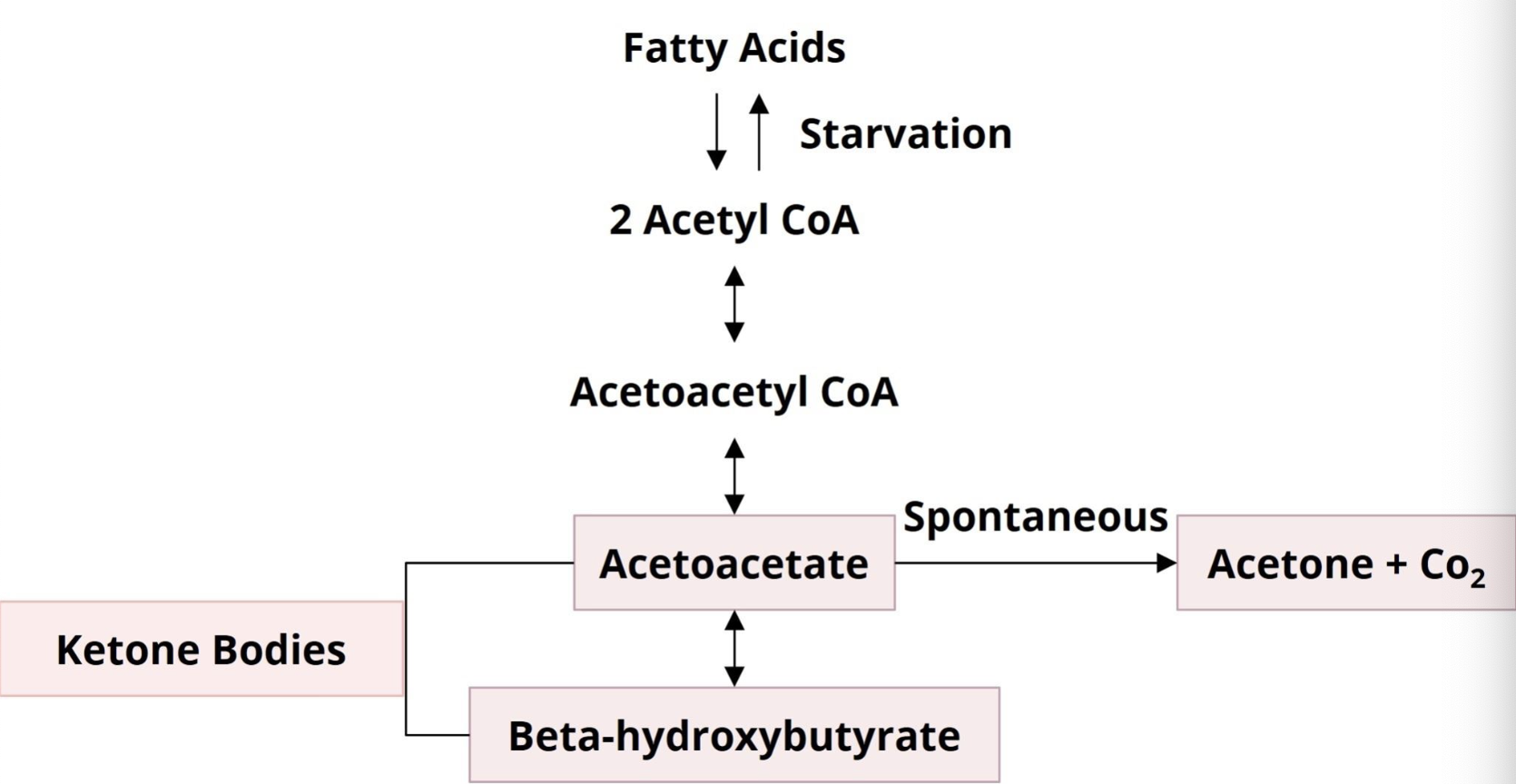 <p>measurement of plasma ketone bodies, diagnosis of ketoacidosis, differentiating DKA from HHS</p>
