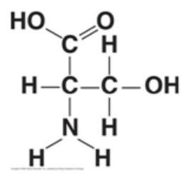 <p>Identify three functional groups in this molecule.</p>