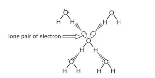 <p><span>Each water molecule can form <strong>up to 4 hydrogen bonds</strong>:</span></p><p><span>	•	<strong>2 bonds</strong> from the <strong>hydrogen atoms</strong> (each bonded to a lone pair on oxygen in another molecule).</span></p><p><span>	•	<strong>2 bonds</strong> from the <strong>lone pairs on oxygen</strong> (each bonded to a hydrogen in another molecule).</span></p><p><span>Each ethanol molecule can form <strong>2 hydrogen bonds</strong>:</span></p><p><span>	•	<strong>1 bond</strong> from the <strong>hydrogen atom</strong> attached to the <strong>–OH group</strong></span></p><p><span>	<strong>Oxygen lone pairs (2 bonds)</strong>:</span></p><p><span>	•	<strong>2 bonds</strong> from the <strong>oxygen atom</strong> with <strong>2 lone pairs</strong>.</span></p><ul><li><p><span>The <strong>ethyl (C₂H₅)</strong> group doesn’t participate in hydrogen bonding, so weaker forces overall </span></p></li></ul>