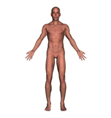 <p>Standing erect, facing forward with arms to the side with palms out.</p>