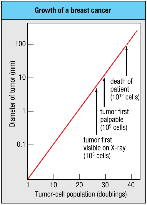 <p>The figure shown documents the growth of a breast cancer in an individual. This figure also illustrates which of the following?</p><p></p><p>a. the formation of cancer neoantigens</p><p>b. the benefit of adjuvant effect in cancer treatment</p><p>c. a failure of immunosurveillance</p><p>d. the accumulation of mutations</p>