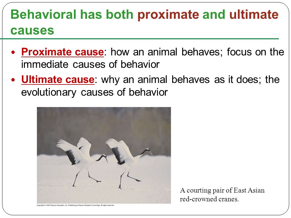 <p><span>Why a behavior occurs</span></p>