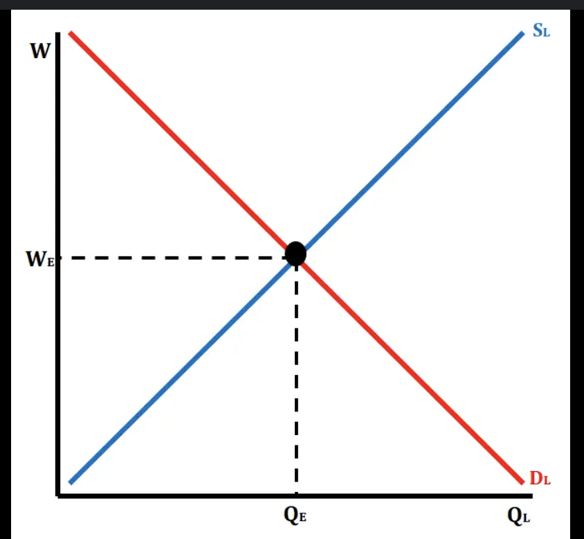 <p>A <strong>perfectly competitive labor market</strong> is one where <strong>many employers</strong> are competing to hire labor, and <strong>many workers</strong> are competing for jobs. Neither firms nor workers have the power to influence the market wage — the wage is set purely by supply and demand.</p><p></p><p>HERE the firms are wage takers If firms or workers are <strong>wage takers</strong>, it means they <strong>accept the market wage</strong> and <strong>cannot influence it</strong>.</p><p>SUPPLY AND DEMAND OVERLAP = WAGE </p>
