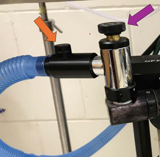 <p>What is the purple arrow pointing to?</p>