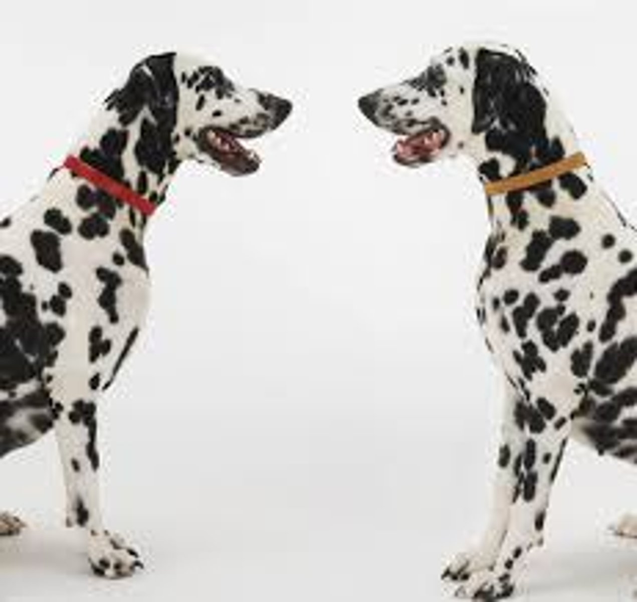 <p>to have a lot in common</p>