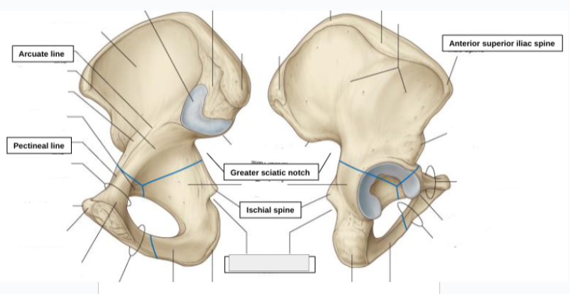 <p>what structure is that?</p>