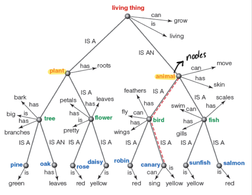 <p>Concepts are arranged in the mind as networks that connect related concepts.</p>