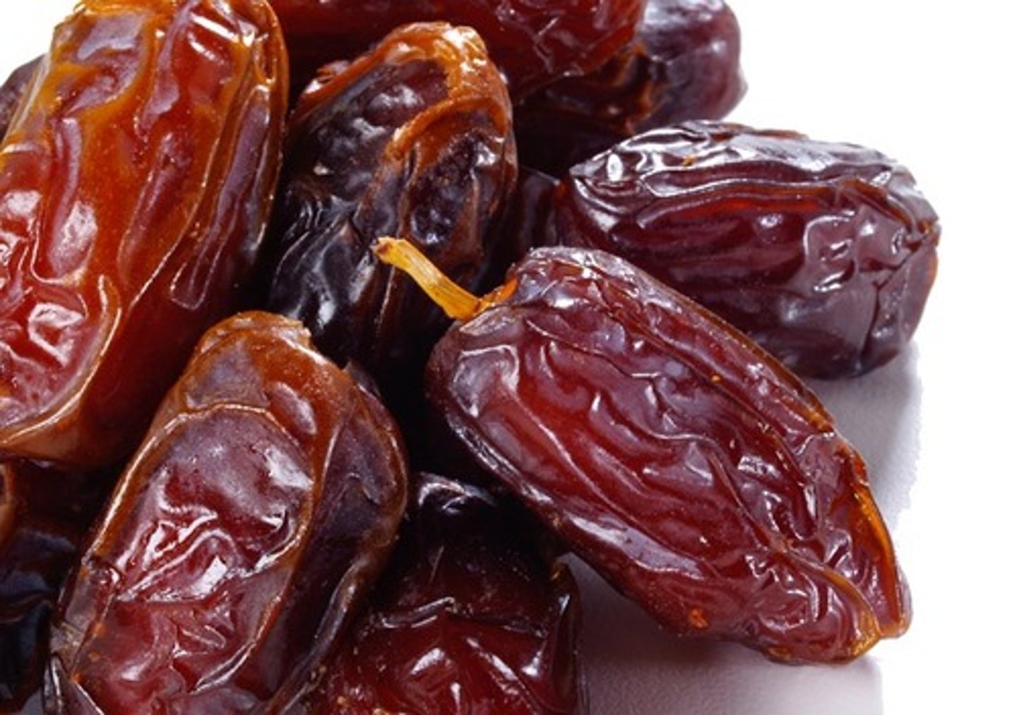 <p>tamaras</p>
