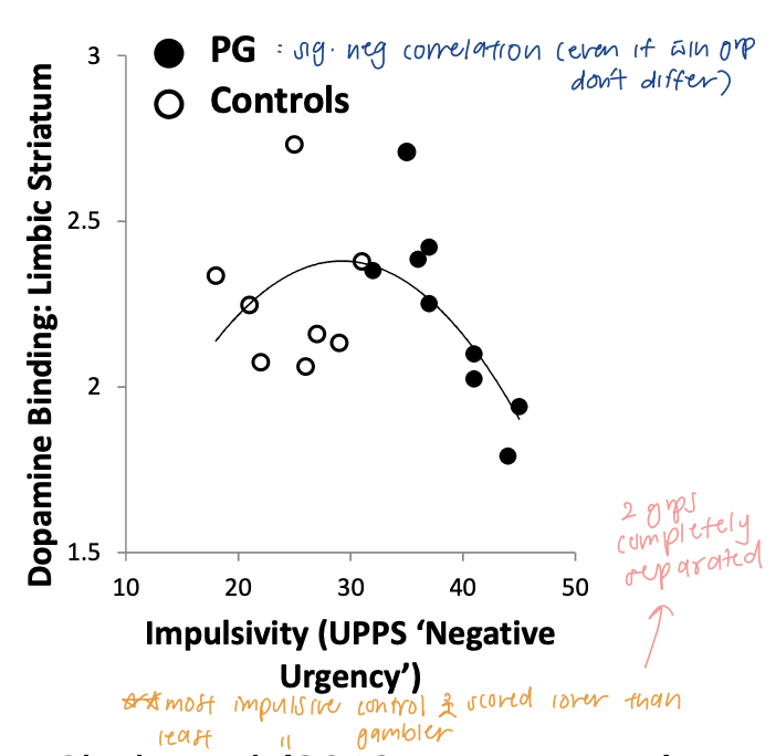 <p>hypothesis: reduced DA binding in grp w gambling disorder (not seen)</p><ul><li><p>NO grp diffs in extracted DA D2 in striatum but related to trait impulsivity </p></li><li><p><span style="color: purple;"><span>most impulsive control person scored lower than the least impulsive gambler → 2 groups completely separated </span></span></p><ul><li><p>PG: sig neg correlation </p></li></ul></li></ul><p>** DA very sensitive to age </p><p></p>