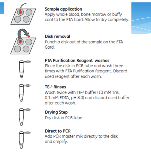 This type of extraction is a card based system.