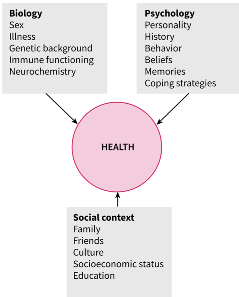 <p>Biopsychosocial model</p>