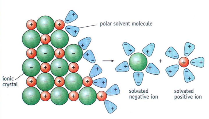 <p>when the ion is surrounded in solution/ solvated</p>