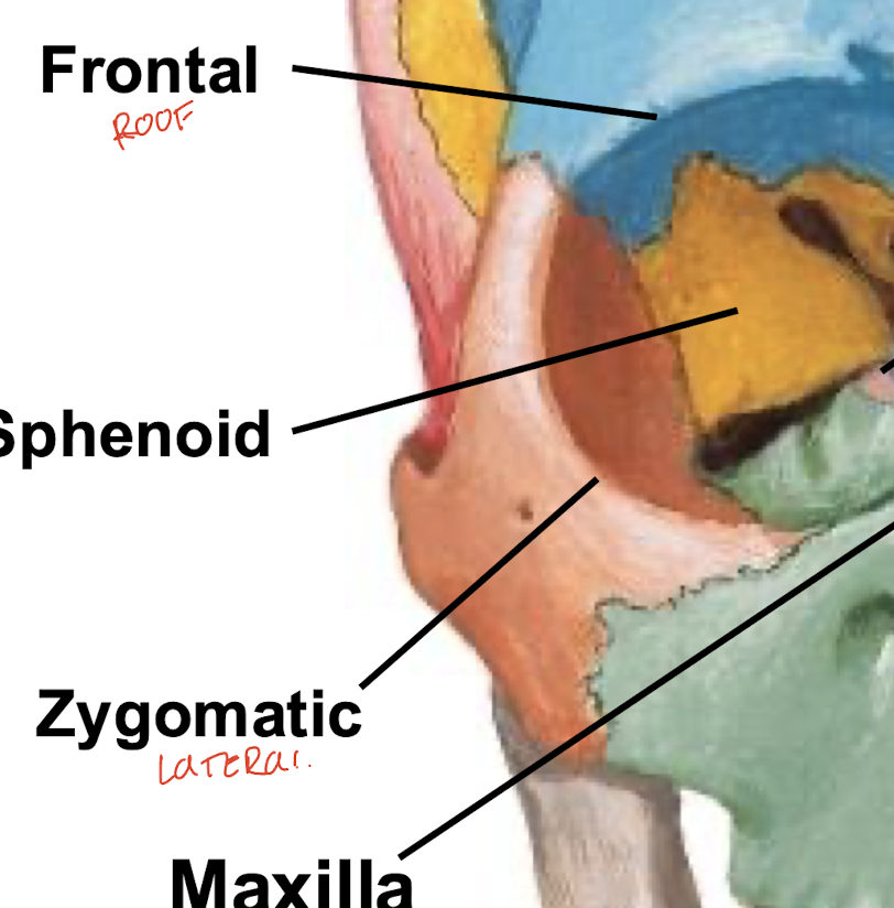 <p>Zygomatic bone</p>