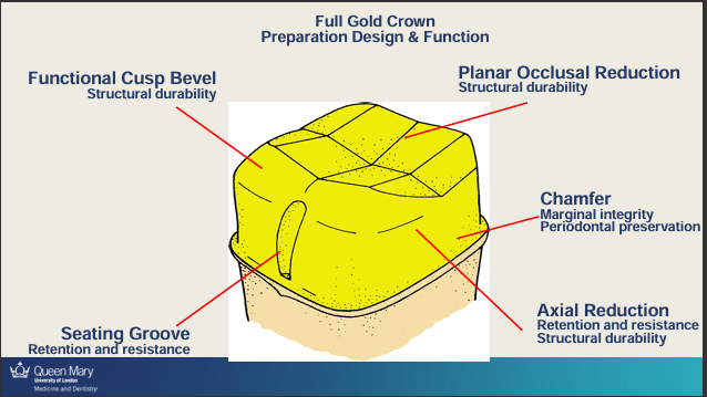 <p>could include other principles like tooth preservation</p>