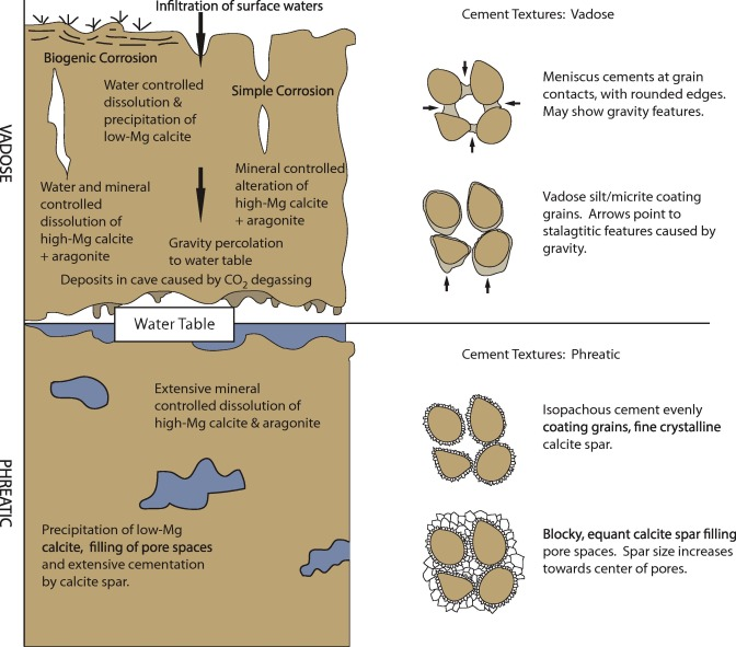 <p>Meniscus cement, vadose silt, micritic envelope, epitaxial</p>