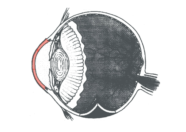 <p></p>