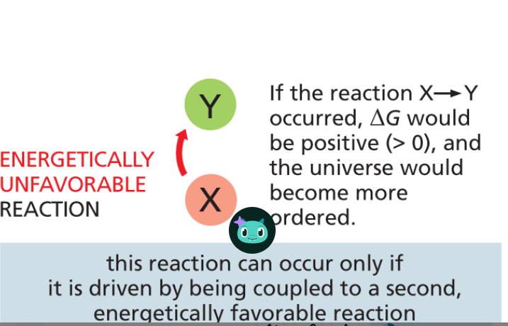 <p>non-spontaneous chemical process resulting in a net increase in free energy +ΔG</p>