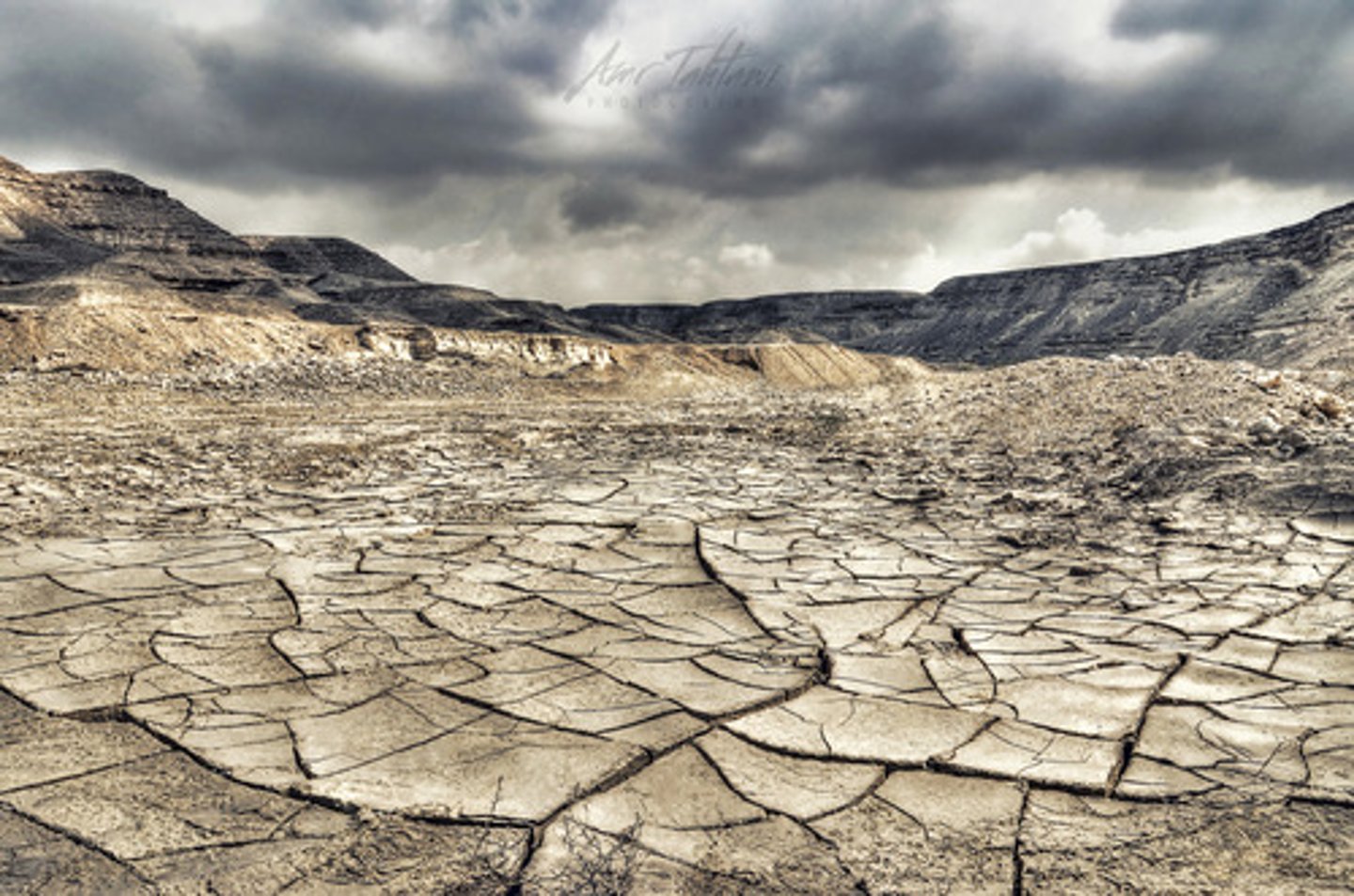 <p>1. (of land) too poor to produce much or any vegetation.</p><p>2. (of a place or building) bleak and lifeless.</p>