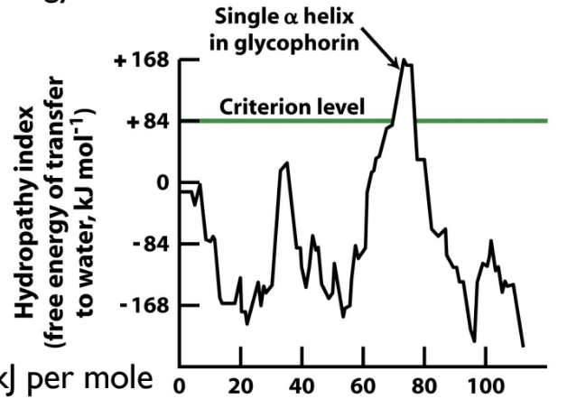 THe hydropathy plot contains a threshold that defines hydrophilic from hydrophobic. If a peak goes above the threshold, then that peak counts as one transmembrane domain. 