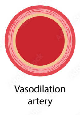 <ul><li><p>Minimum Arterial pressure</p></li><li><p>Occurs when the heart relaxes</p></li><li><p>Vasodilation occurs</p></li></ul>