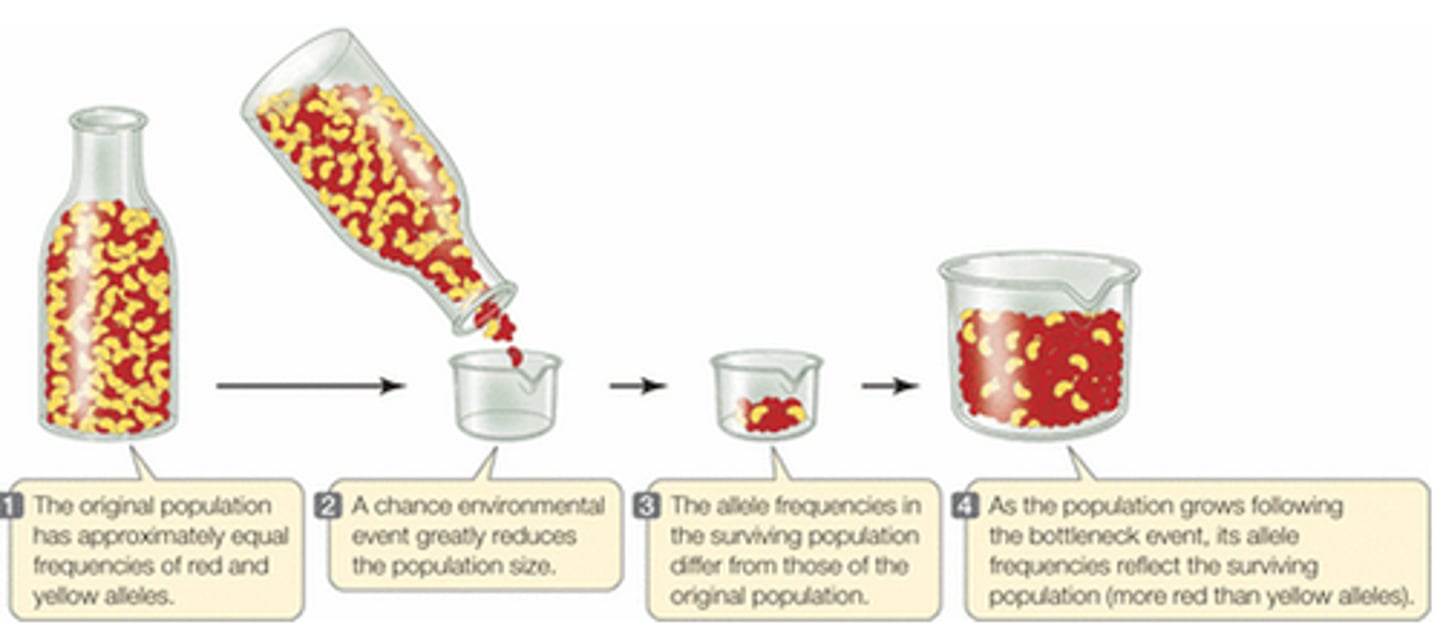 <p>the longest part in the process eg manufacturing a car and the car needs to be painted or the time the cake in the oven.</p>