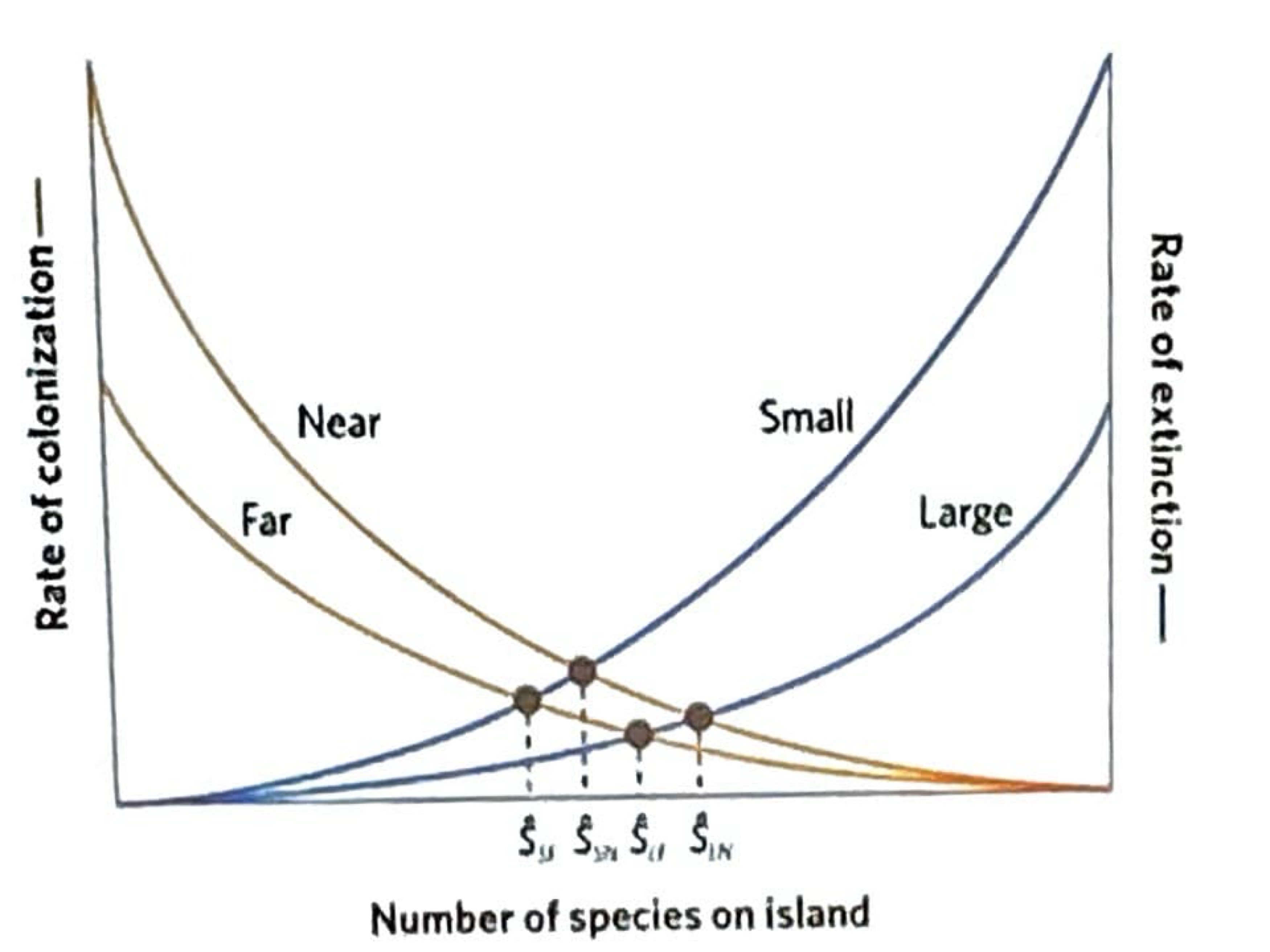 <p>In short, island size and isolation determines the number of species an island can hold</p>