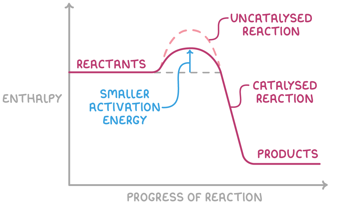 <ul><li><p>catalyst which exists in a different phase from the reactants </p></li><li><p>reaction occurs at active sites on the surface of catalyst</p></li></ul><p></p>