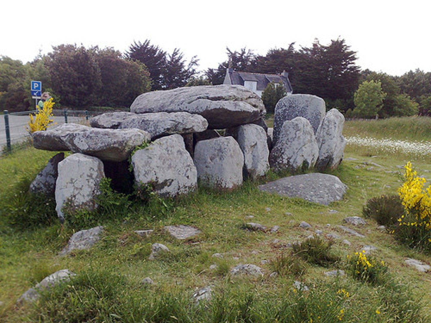 <p>several upright stones supporting a horizontal stone slab</p>