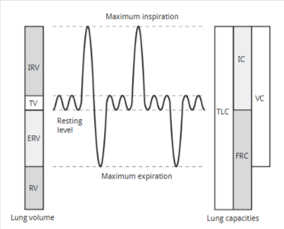 <p><span>the volume of air that is always present in our lung tissue (unusable, does not leave until we die)</span></p>
