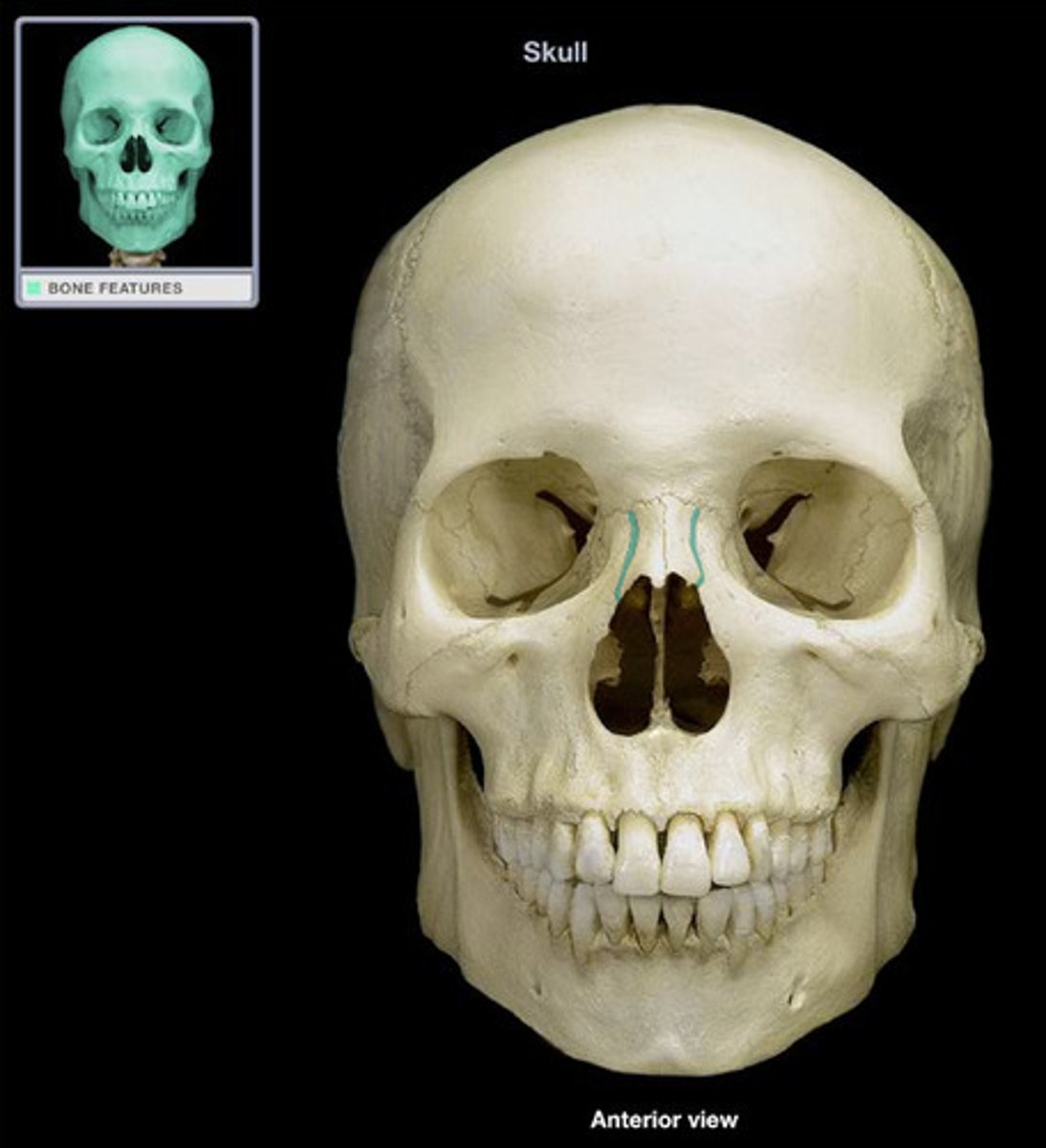 <p><em>identify the structure:</em></p>