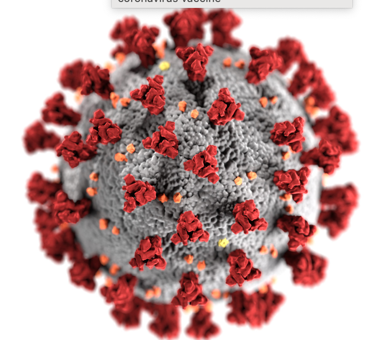 <p>describe the layers of poxviruses</p>