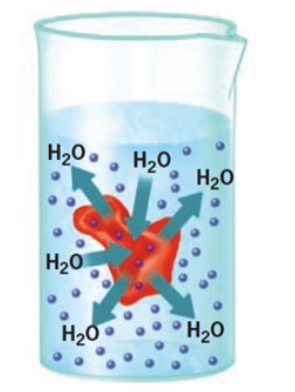 <p>What is this?</p>