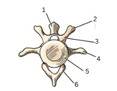 <p>4</p>