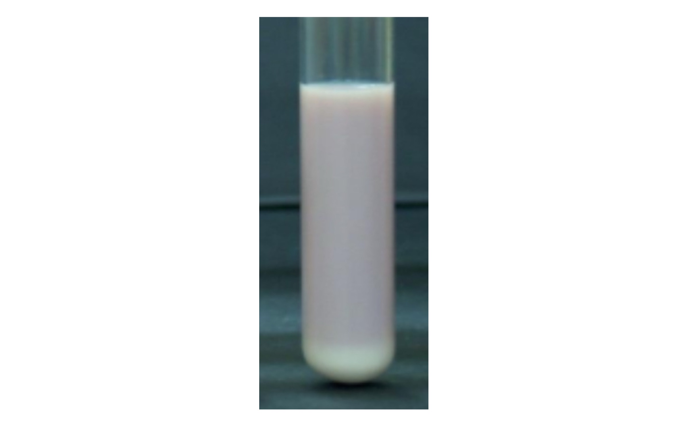 <p>Purple litmus reaction with reduced litmus at the bottom</p><p></p>