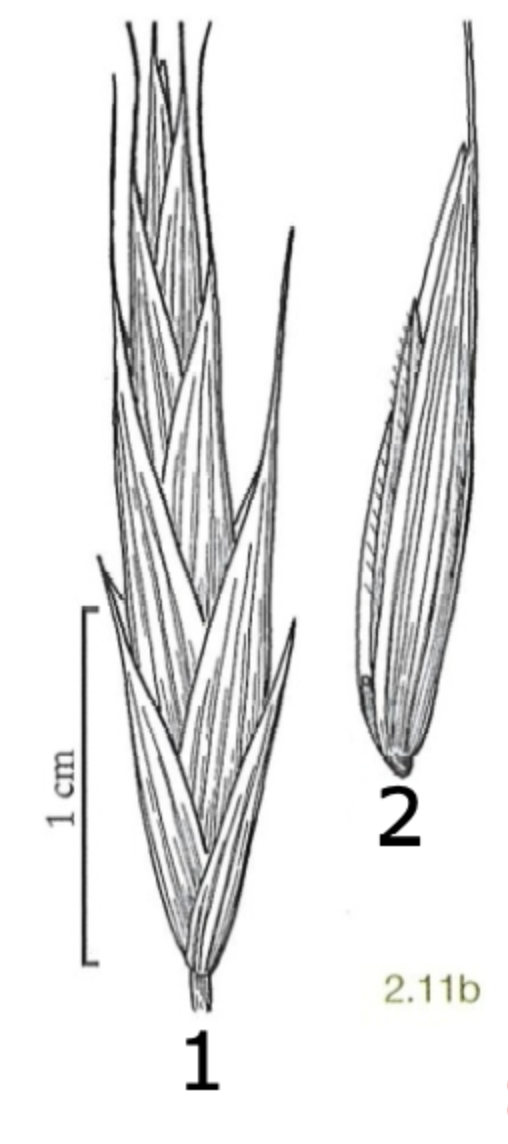 <p>what is 1?</p>