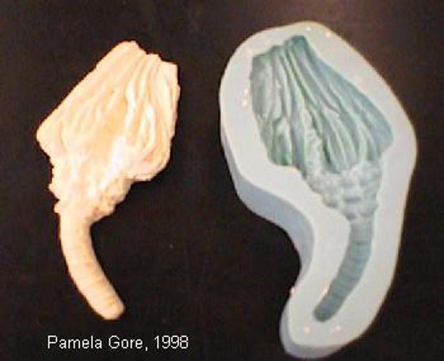 <p>The impression of an organism in a rock</p>