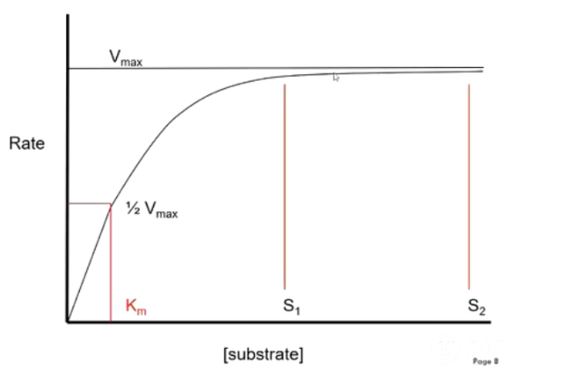 <ul><li><p>At high substrate concentrations, minor changes in substrate concentration will not affect rate of reaction (already working as fast as they can)</p></li><li><p>Only affect speed when close to Km - concentration when enzyme is catalysing reaction at half max reaction velocity</p></li></ul><p></p>