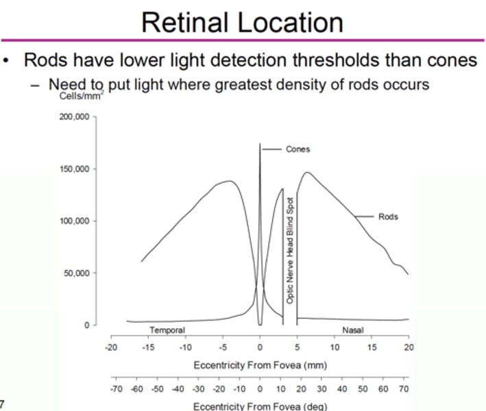 <p>15 to 20 degrees eccentrically from the fovea</p>