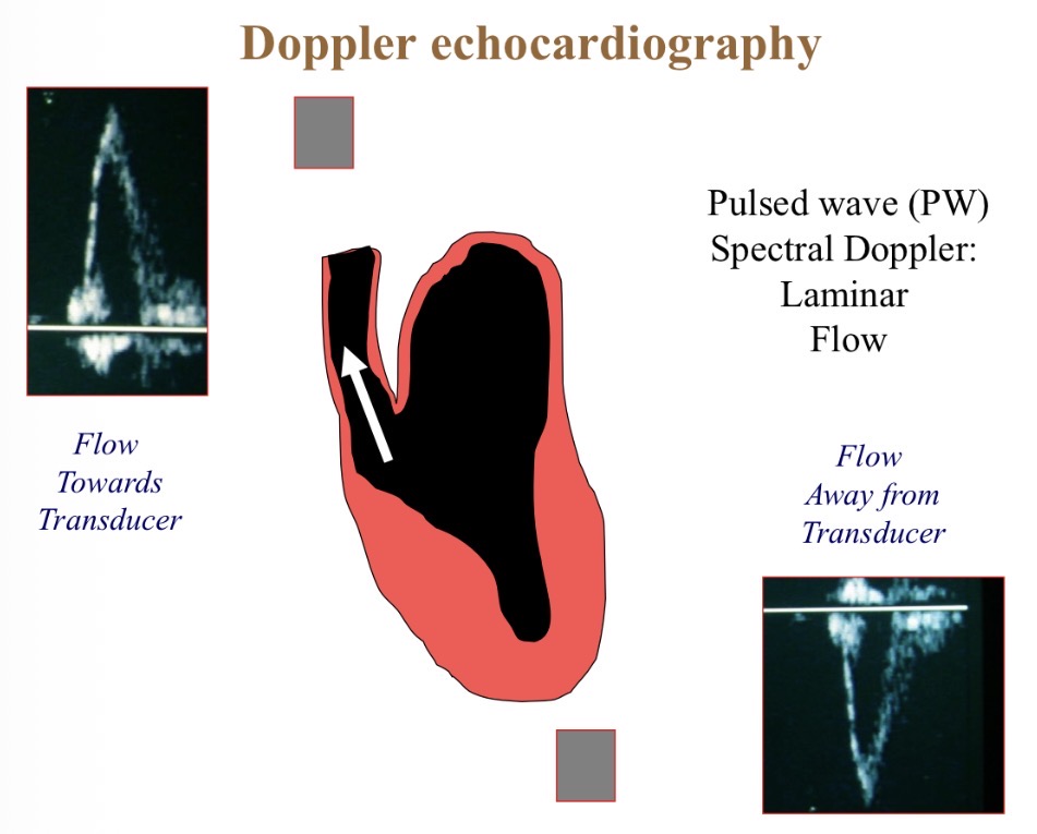 <p>What does the blue line show </p>