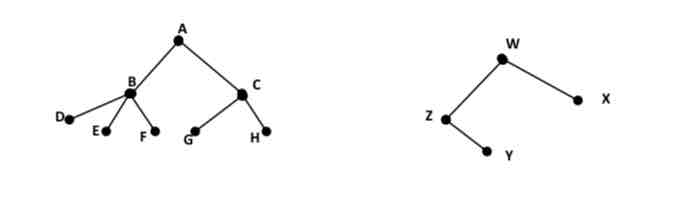 <p>a graph in which any two vertices are connected by exactly one path.</p>