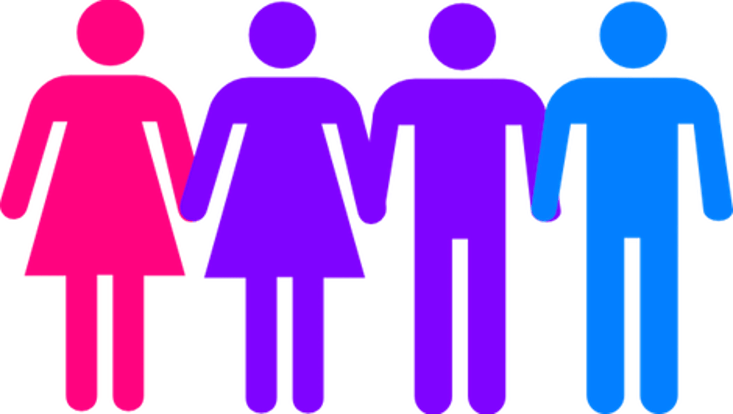 <p>je seksueel aangetrokken voelen tot zowel mannen als vrouwen</p>