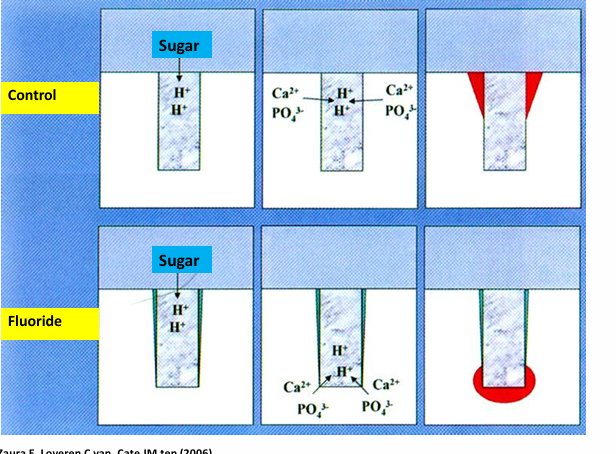 <p>-no- use a sealant</p>