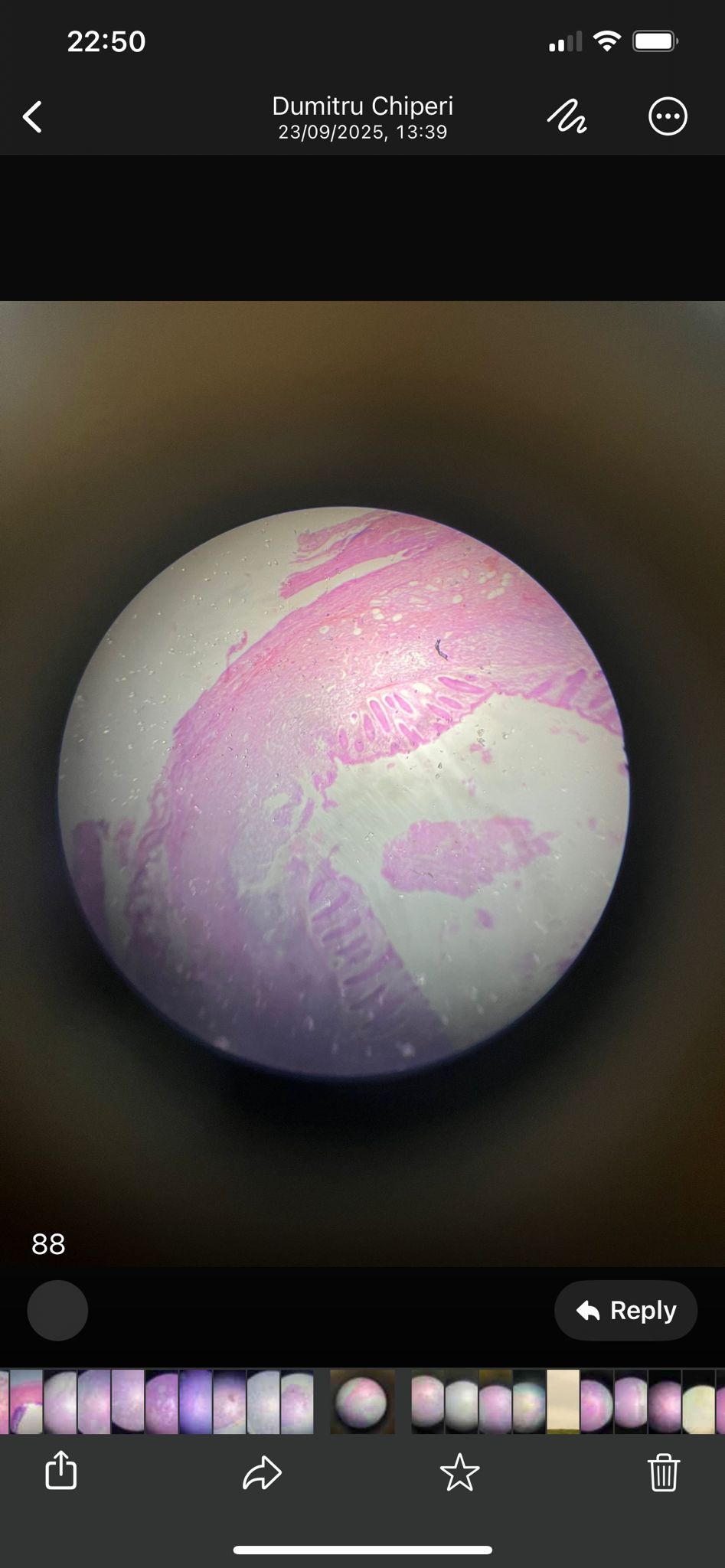 knowt flashcard image