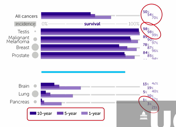 <ul><li><p>brain 13%</p></li><li><p>lung 5%</p></li><li><p>pancreas 1%</p></li><li><p>after 10 yrs</p></li><li><p>this is because they are hard to notice as not on the skin, so you wont know until you have have severe symptoms</p></li></ul><p></p>